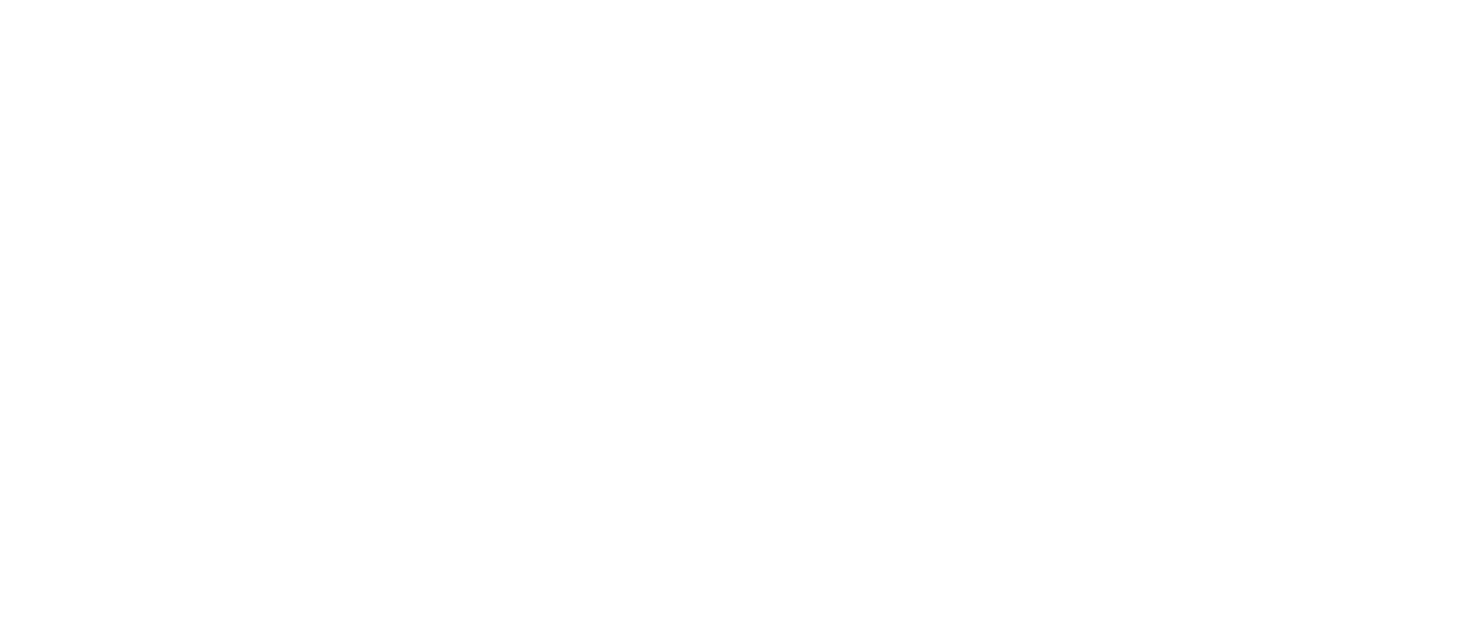 Team Ethos